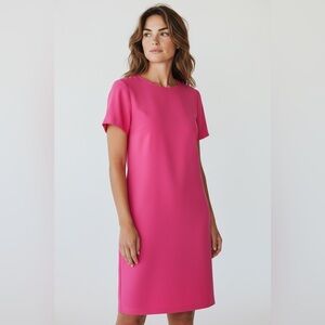 Ann Taylor Short Sleeve Shift Dress Pink Size 00 Petite